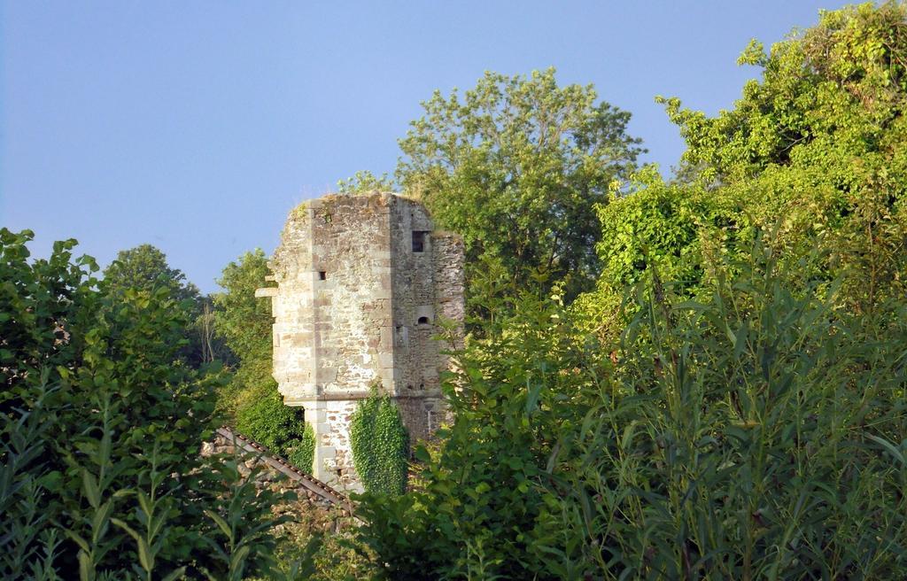 Chateau De La Chasse-Guerre Bed and Breakfast Hardanges Esterno foto