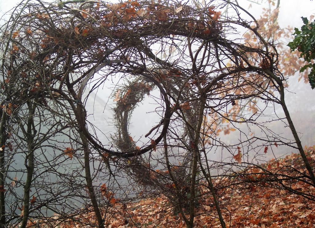 Chateau De La Chasse-Guerre Bed and Breakfast Hardanges Esterno foto